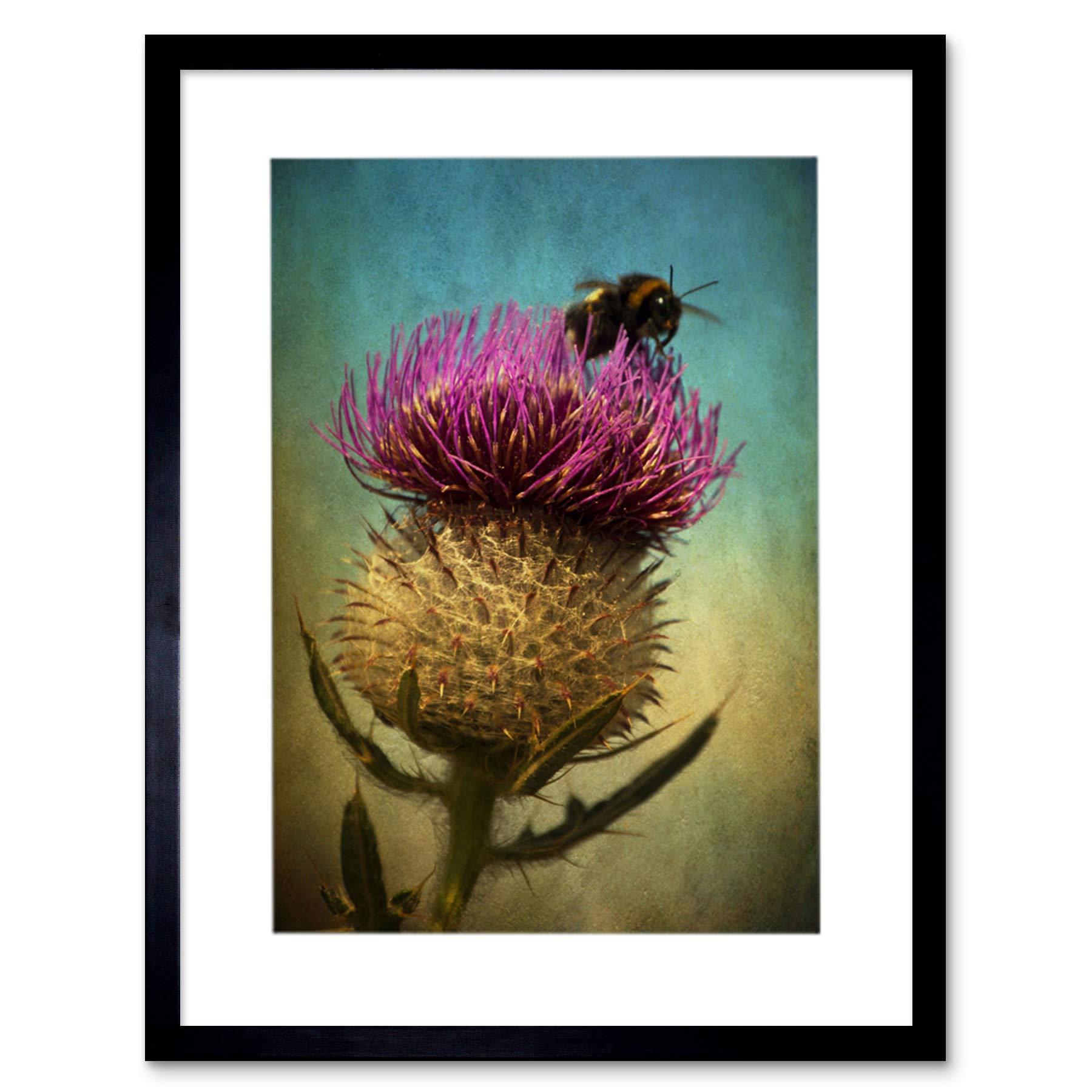 Wee Blue Coo Photo Bumble Bee Thistle Flower Scotland Picture Framed Wall Art Print
