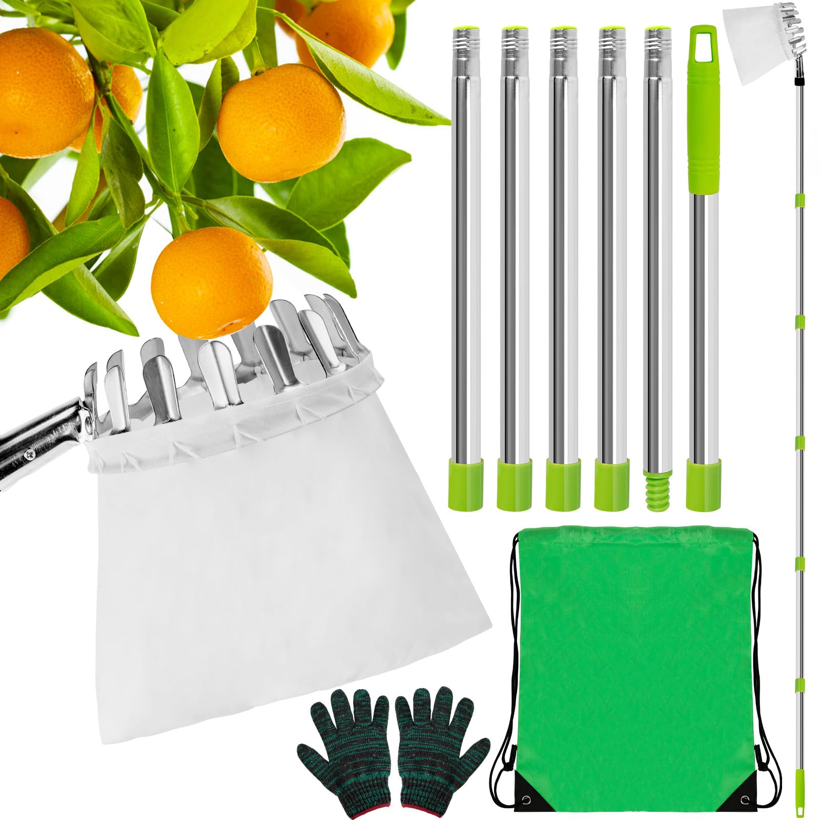 Raccogli Frutta da Albero, 2.4M Raccoglifrutta con Palo in Acciaio Inox Leggero, Raccogli Frutta Telescopico Raccoglifrutta Regolabile in Altezza Per la Raccolta di Mele, Fichi, Pere, Pesche e Nespole