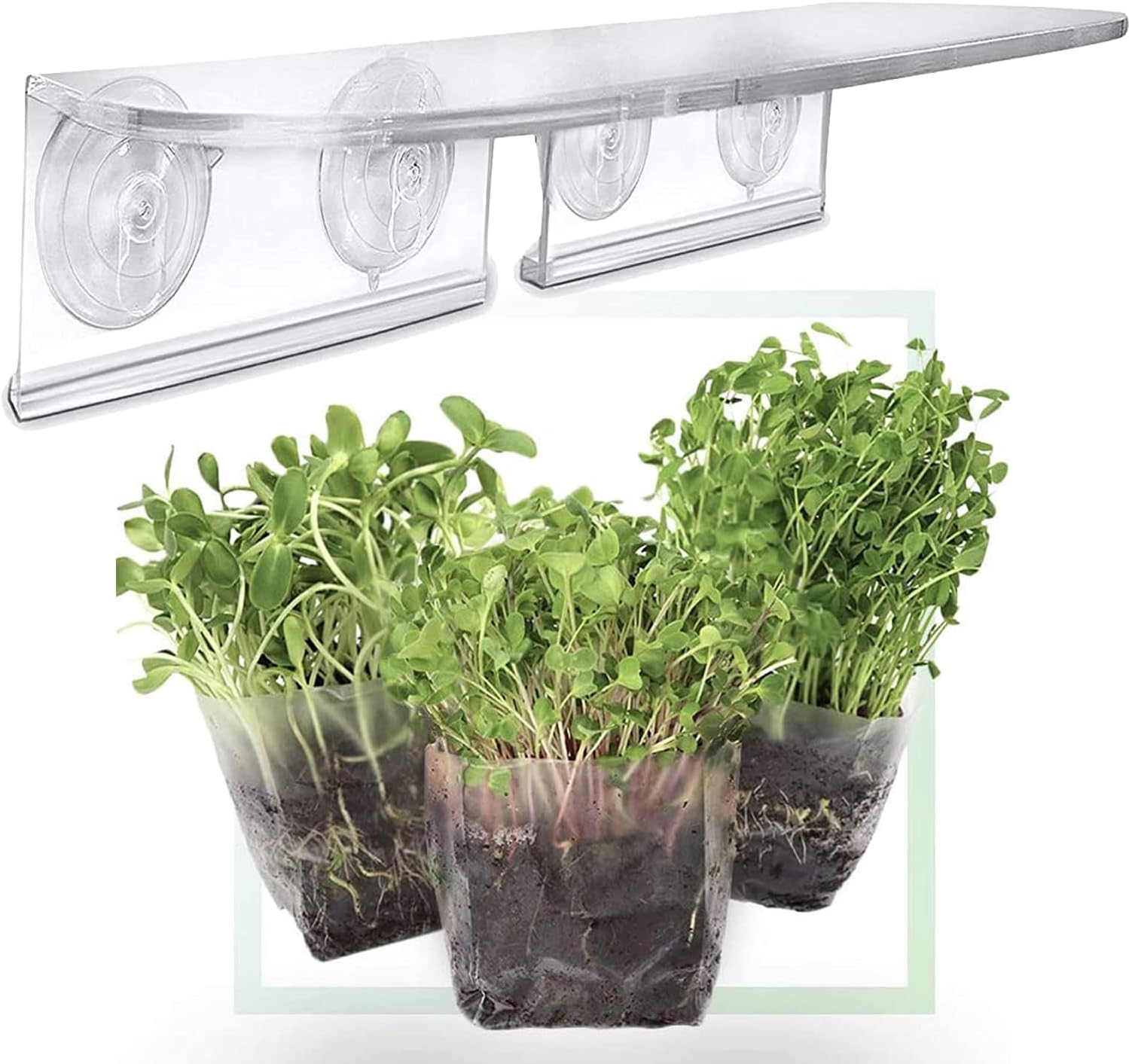 Window Garden Microgreens Grow Kit Assorted Microgreen