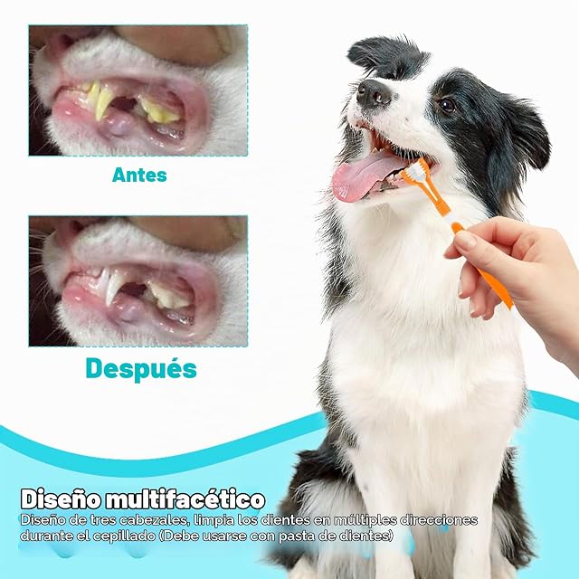 Foto 5 de 6 de Cepillo Dientes Perro, 2 Cepillos de Dientes de Doble Cabezal, 2 Cepillos de Limpieza Dental de Triple Cabezal