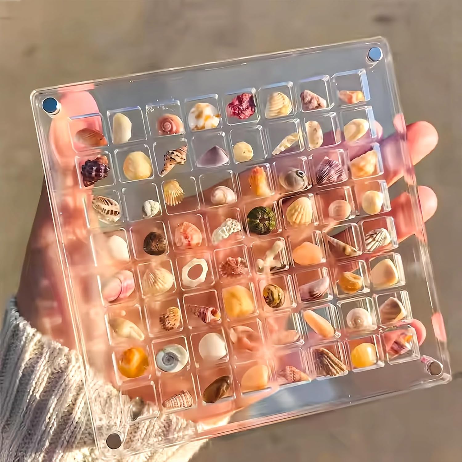 Acrylic Seashell Display Box, Seashell Storage Box Display Case Decorative Seashell Starfish Trinket, Small Craft Organizers Container for Bead, Nail, Jewelry, Square-64 Grid