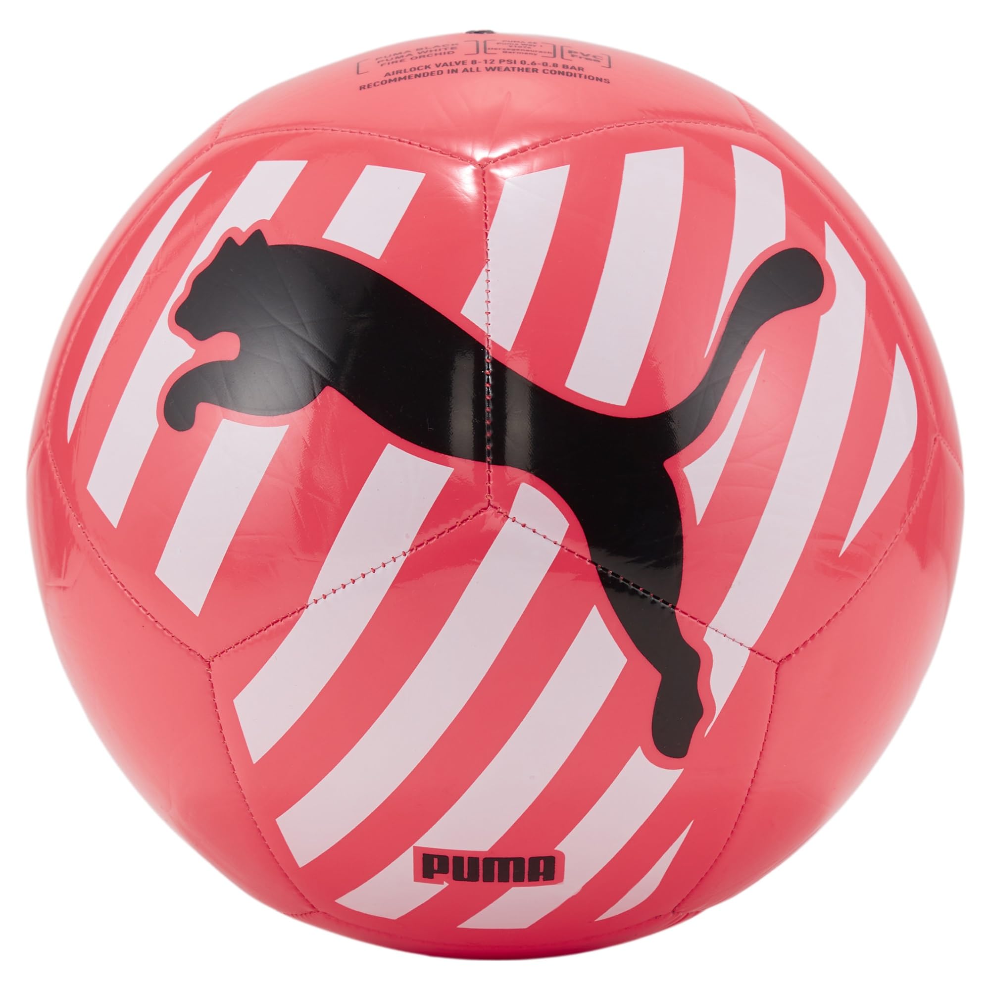 PUMA Big Cat Ball