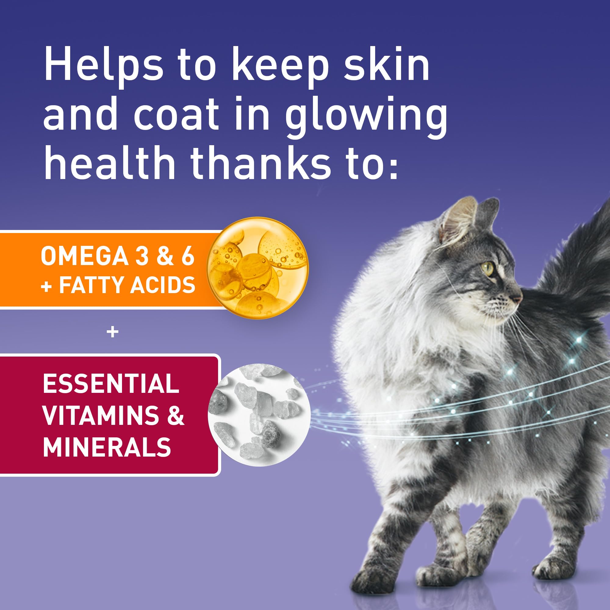 PURINA ONE Bifensis Adult Dry Cat Food Chicken 7.5kg Pack — view 6
