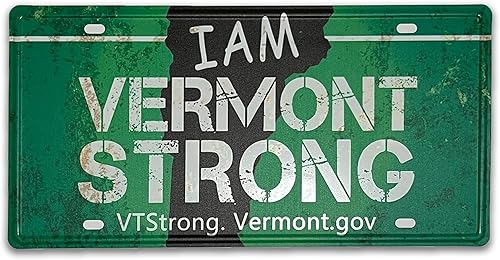 Miniatura 23 de KETMEDI Placa de matrícula retro de metal, 12"X6", señalización decorativa, 50 piezas de decoración para auto, decoración de habitación, diseño de