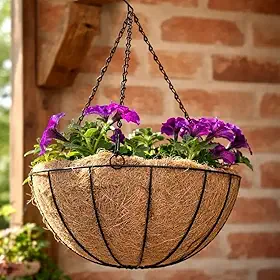 Vaso Suspenso de Fibra de Coco Natural com Corrente e Gancho, 20cm de Diâmetro, Suporte Metálico para Plantas Pendentes, Decoração Rústica para Jardim e Varanda (1)
