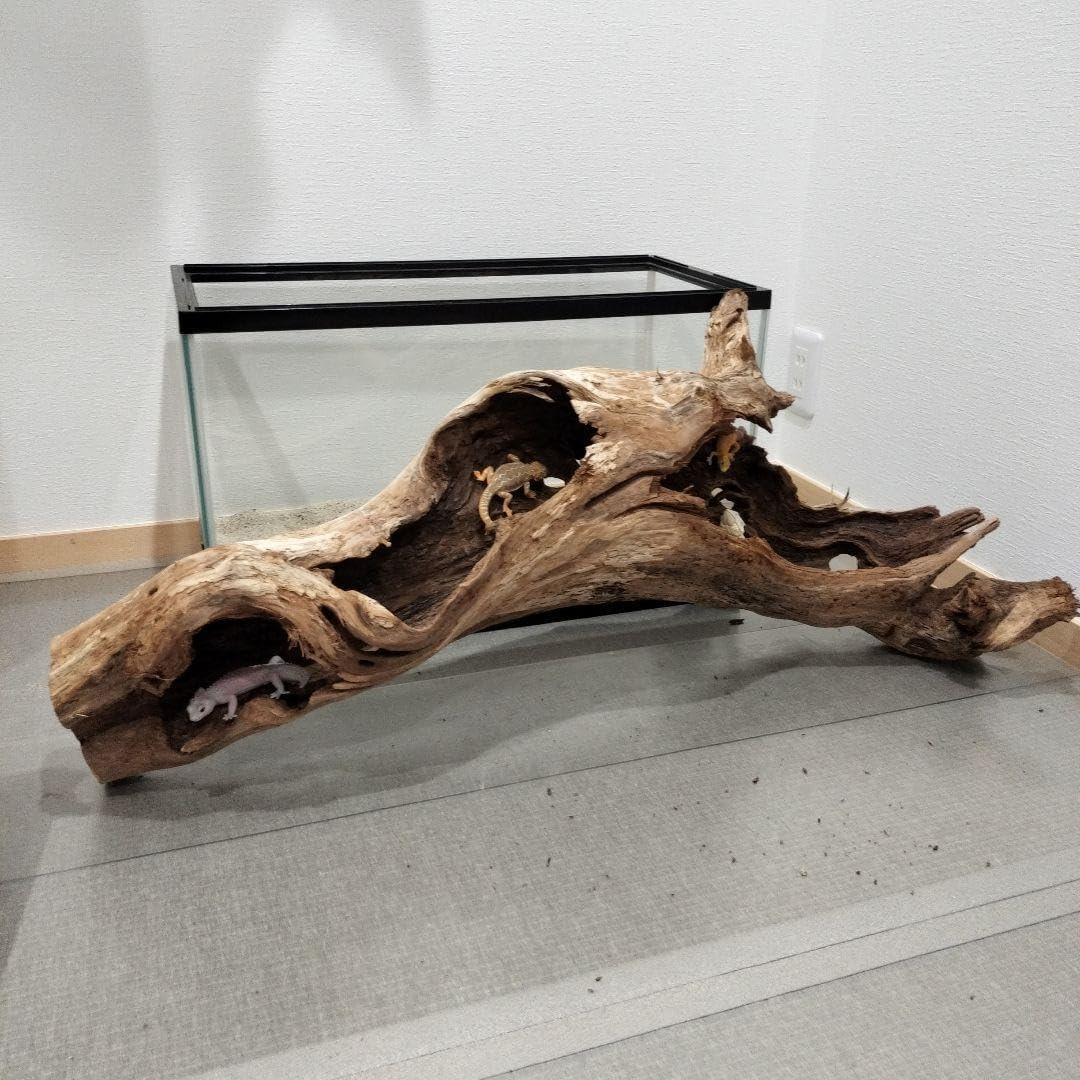 No.901】超大型シェルター流木 【No.901】 超大型シェルター流木