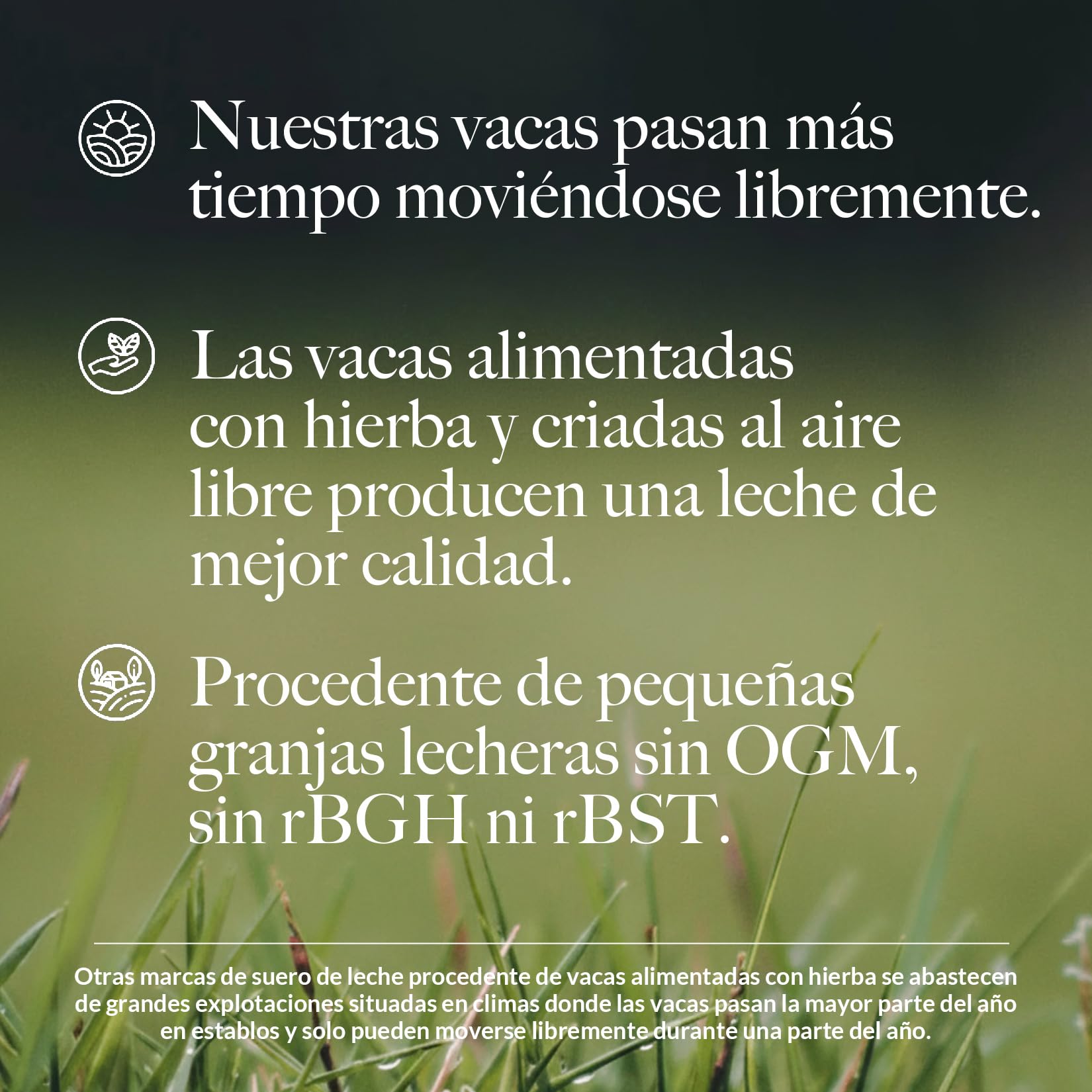 Naked Whey Protein, Proteina en Polvo, Un Solo Ingrediente, Grass Fed, Sin Gluten, Sin Soja, Sin OGM, 25g de Proteinas y 6g de BCAAs por Medida, Sin Sabor, 12 Porciones, 450g