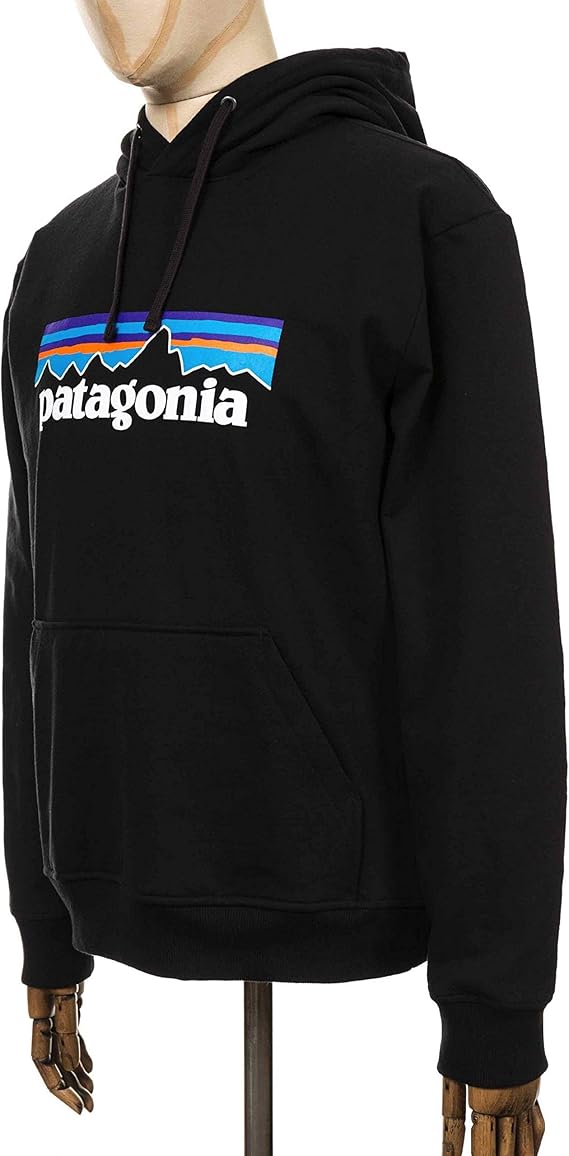 patagonia hoodie amazon