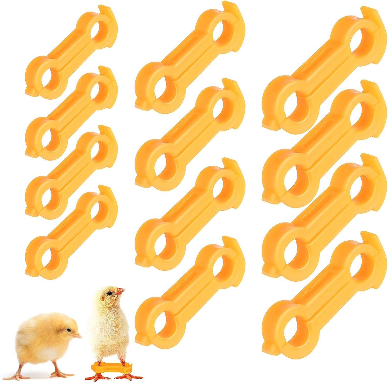 Baby Chick Leg Hobbles, Poultry Leg Bands 3 Sizes for Newborn Spraddle Leg Repair on Chick Bird Quails Ducks of 1-3 Days Newly Hatched