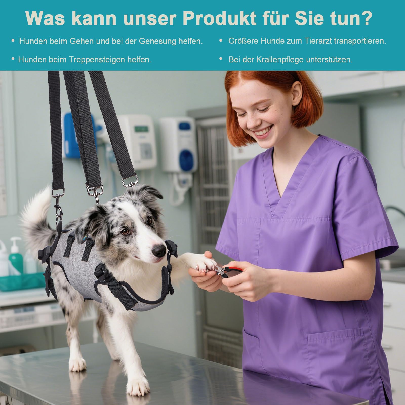 Ownpets Tragehilfe Geschirr, Hebegeschirr für kleine Hunde, Tragtuch für Haustier, Ganzkörpergeschirr, Hunde Tragetasche mit Schultergurt, Weich, Wasserdicht, Einstellbar, M
