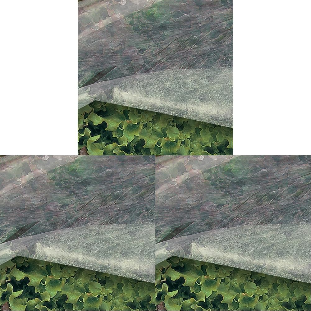 TENAX Ortoclima Wachstumsvlies 1,60x5 m Weiß, leichtes Frost- und Schutzvlies für Pflanzen und Kulturen, aus Vliesstoff 17 g/m², Schützt Pflanzen, Blumen und Gemüse vor Kälte und Wind (Packung mit 3)