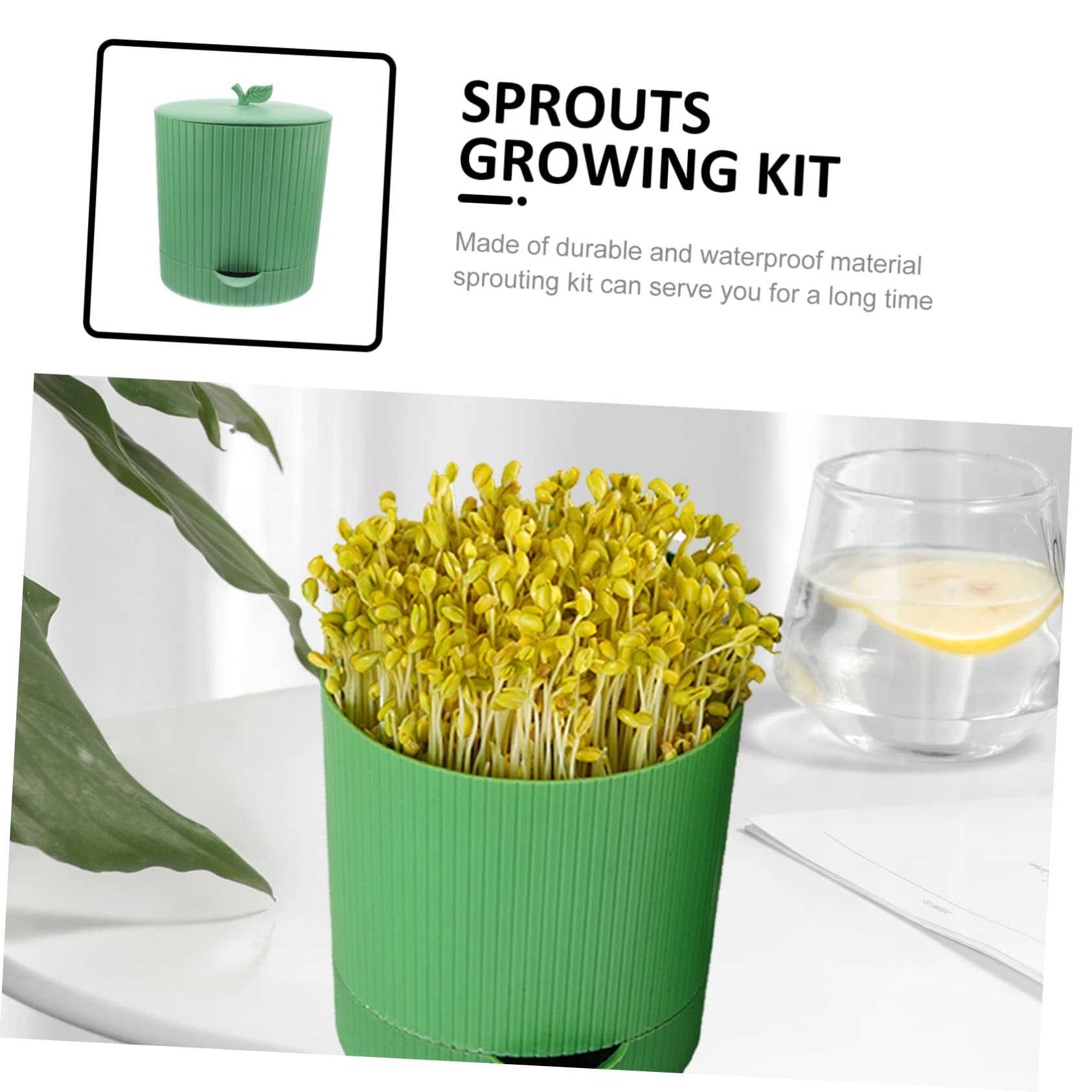 INOOMP Kit di Germinazione per Germogli, Vassoio per Semi in Pp e Pietra, Riutilizzabile e Traspirante, Drenaggio, per Serra o Veranda