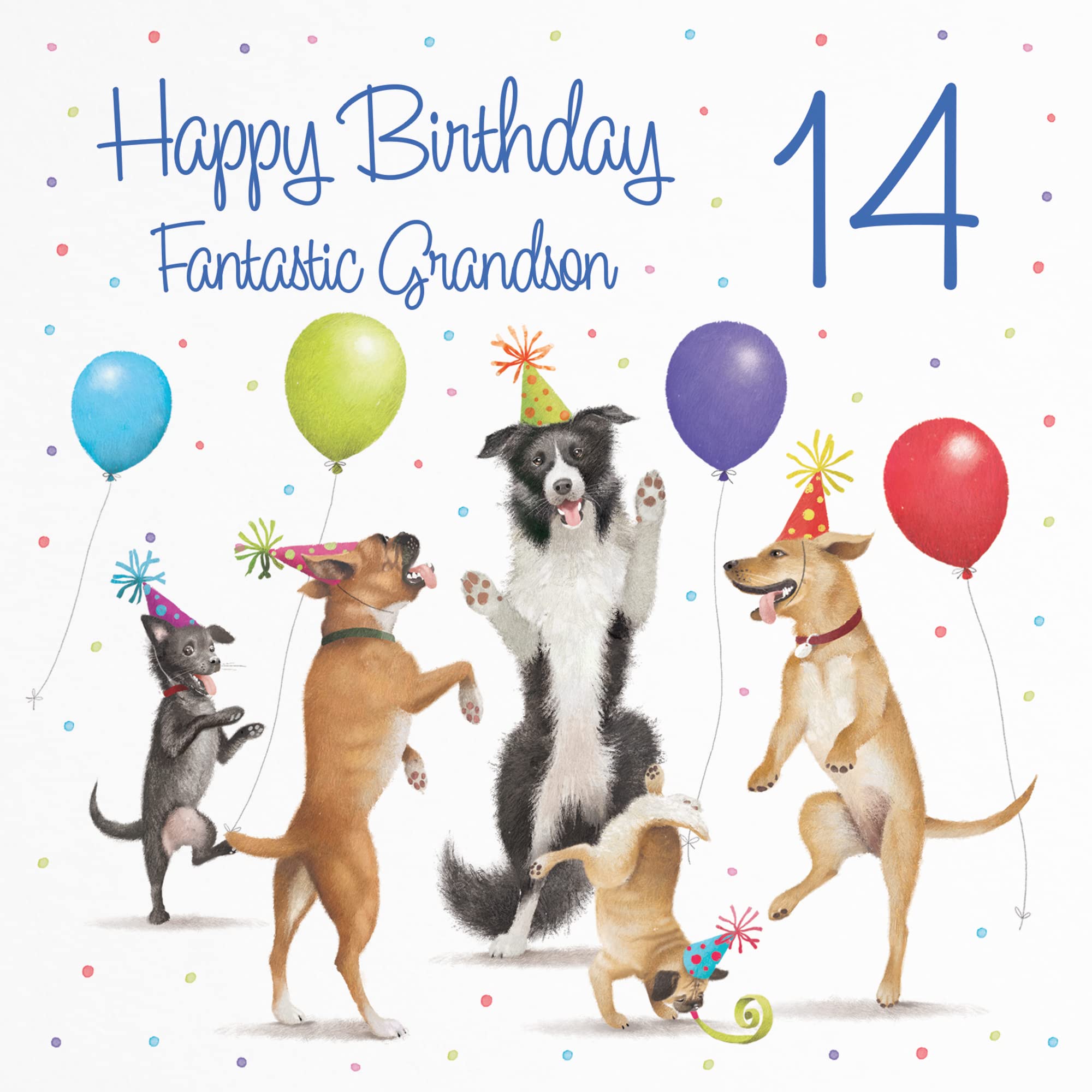 Hunts England - 14th Grandson Birthday Card - Dancing Dogs - Fantastic Grandson - Age 14 - Funny Boy's 14th Birthday Card - Milo's Gallery - Age Fourteen — view 2