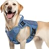 rabbitgoo Tactical Dog Harness Medium Sized, Heavy Duty Pet Harness with Handle, No-Pull Service Vest Medium Breed, Adjustable Military Dog Vest for Training Hunting Walking, Blue, M