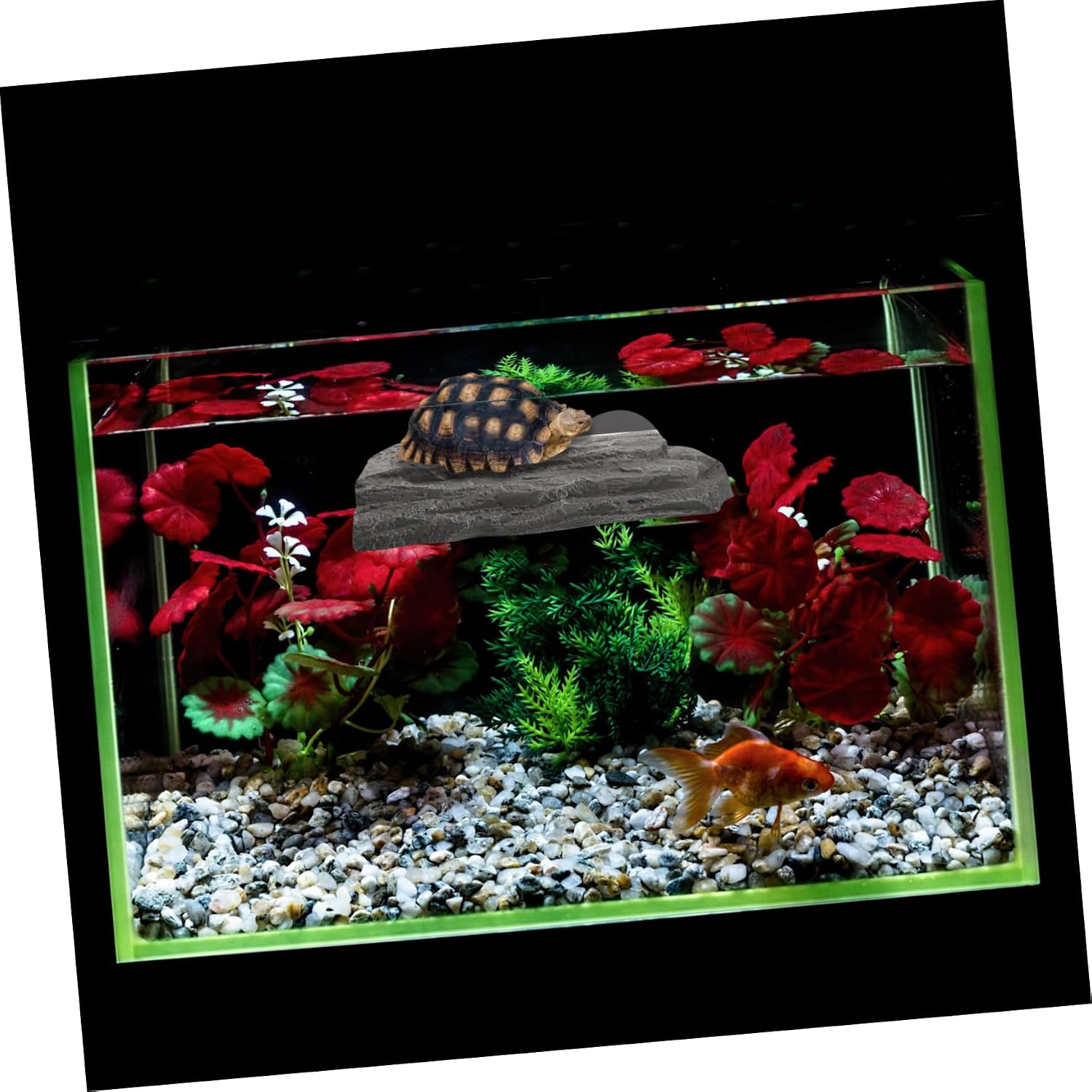 Resin Turtle Basking Platform with Suction Cup Dock for Aquariums