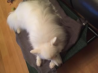 ubuy India