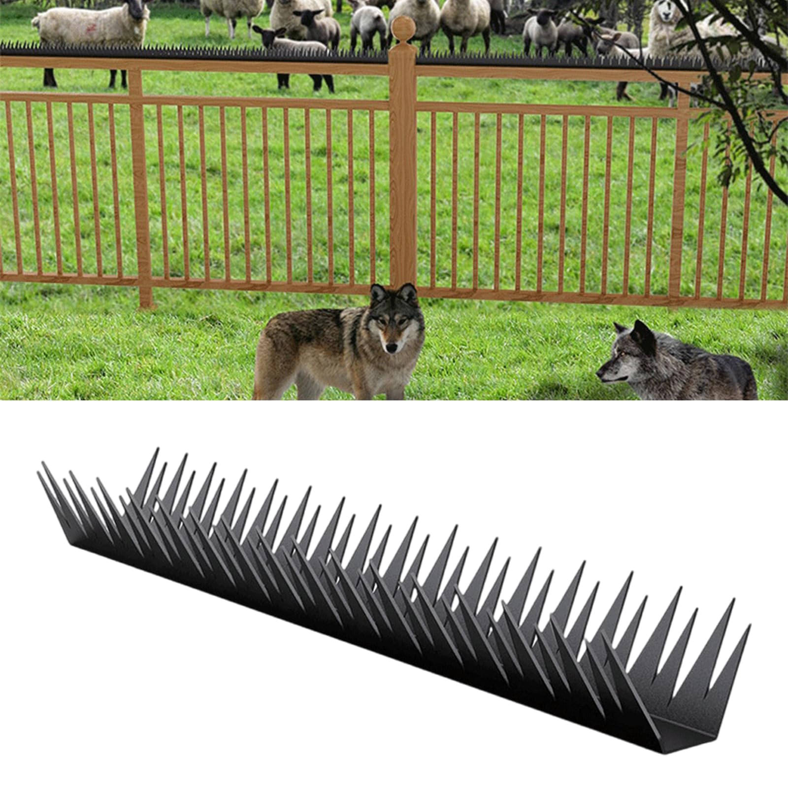 Lot de 6 pics de clôture en métal résistants aux intempéries pour mur et clôture, chats et oiseaux, faciles à installer