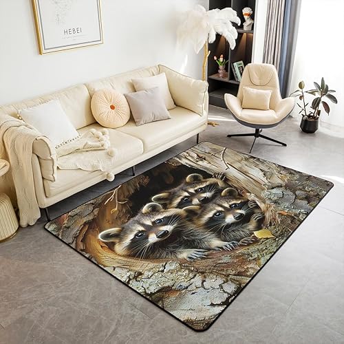 Alfombra de mapache para sala de estar, dormitorio, alfombra de mapache de 5 x 7 pies, para niños y niñas, regalos de zarigüeya, alfombra decorativa