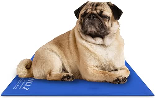 The Green Pet Shop Chillz Gel Mat, Medium - Pressure-Activated