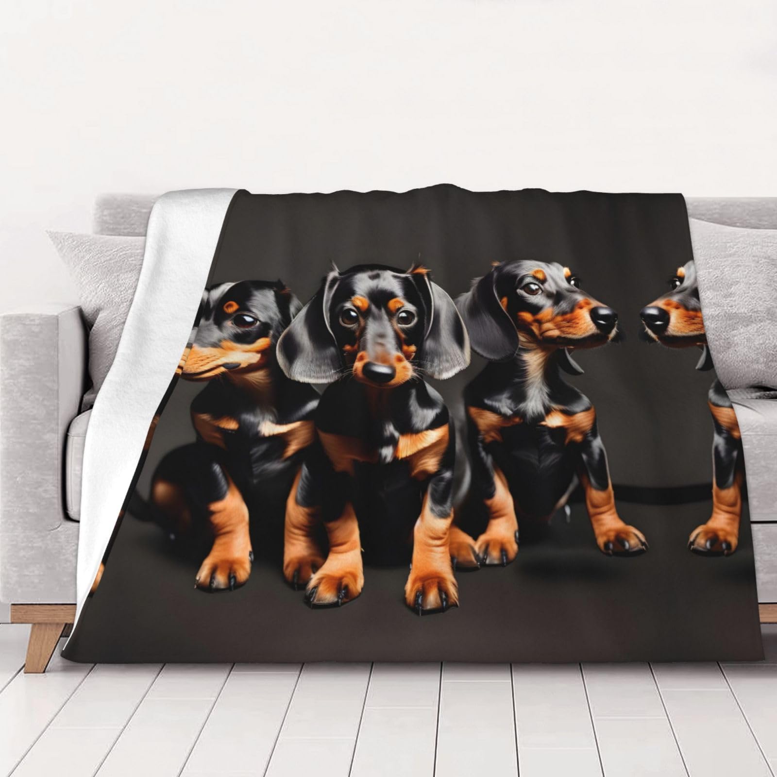 Couverture trois teckels pour des soirées cocooning sur le canapé