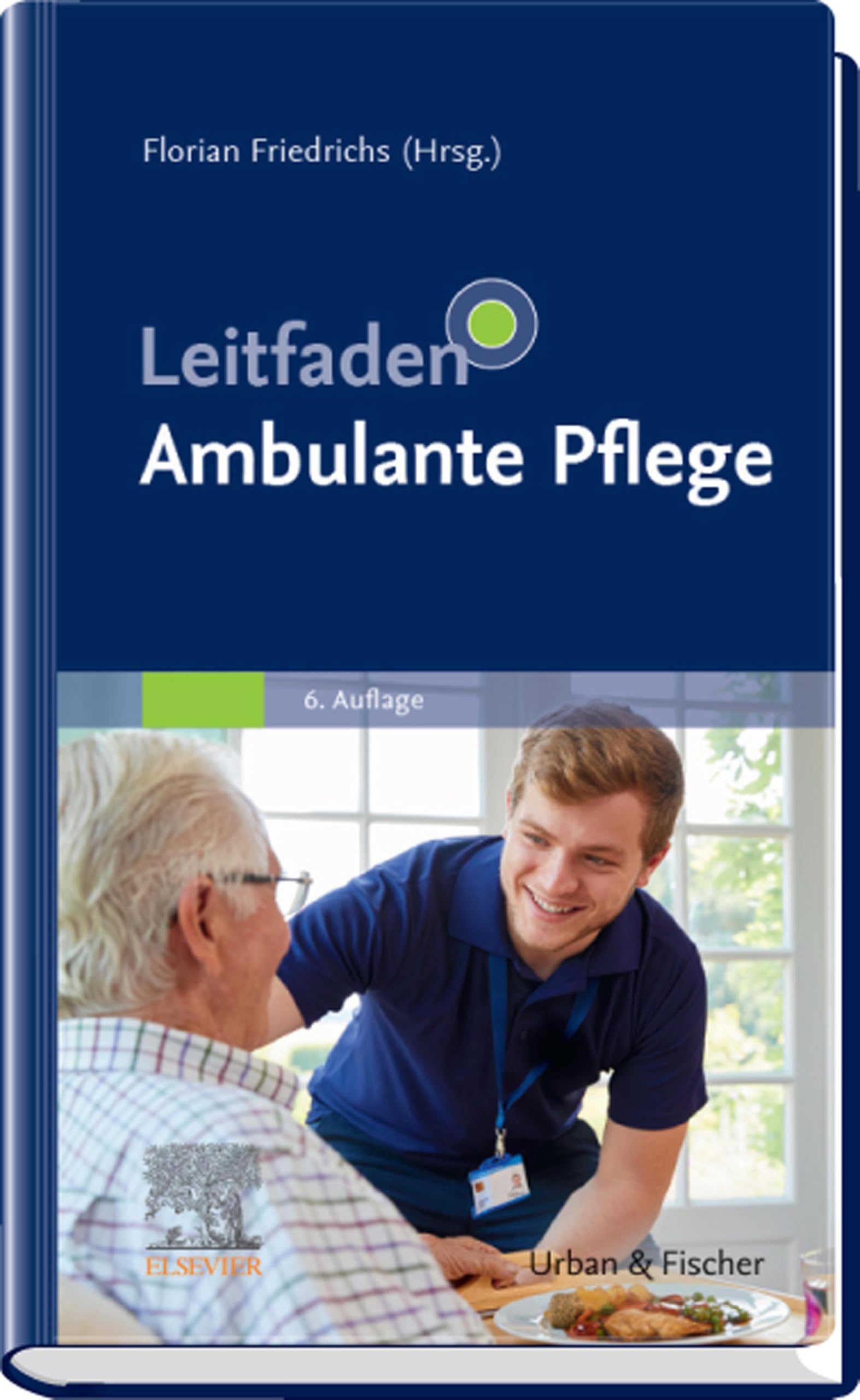 Leitfaden Ambulante Pflege (PFLEGE - Fachbuch - Urban & Fischer Verlag)