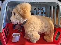 Review Image by The Bryant Family The Bryant Family