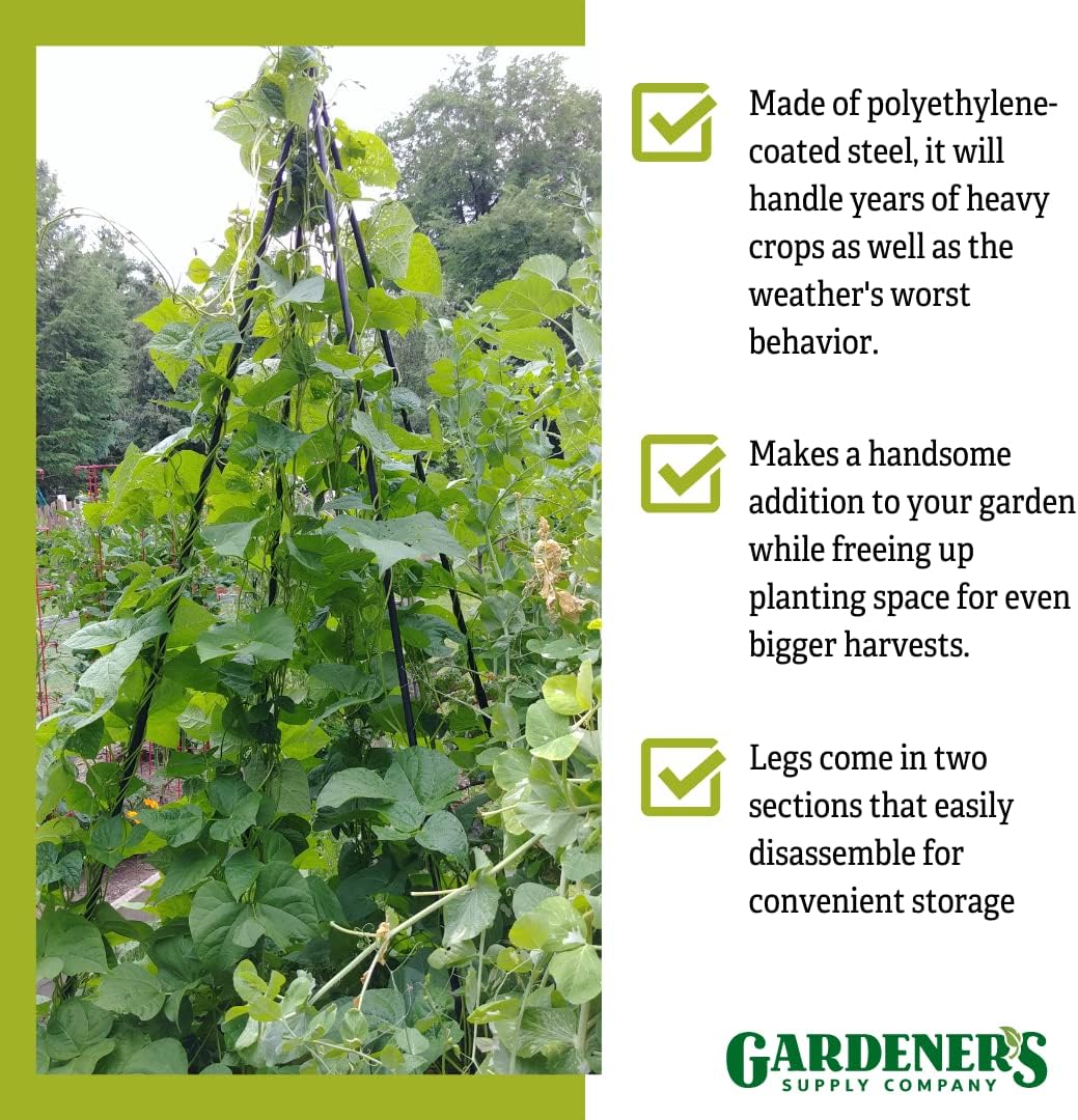 Gardeners Supply Company Extra Tall Garden Teepee Trellis | Sturdy Plant Support for Peas, Beans, Squash, and Other Garden Climbing Vine Plants | Quick and Easy Setup - 87" H