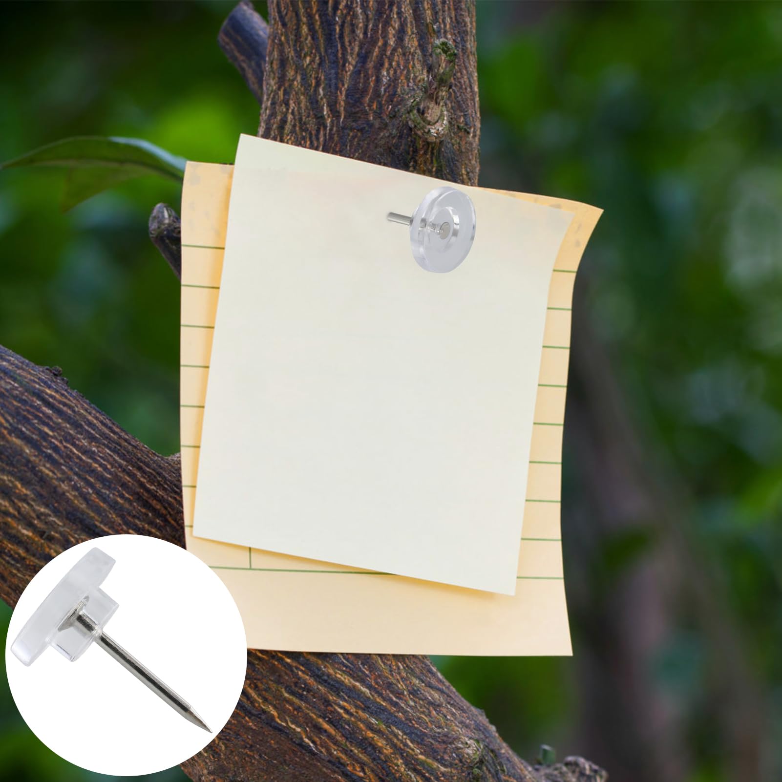 AIEX 100pcs Punaises Transparentes, Punaises En Plastique