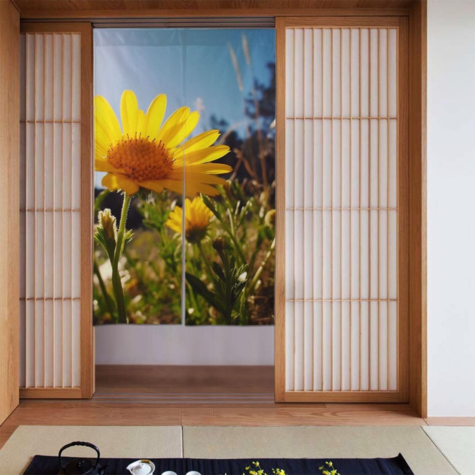 Rideaux de séparation amusants pour chambre ensoleillée et lumineuse