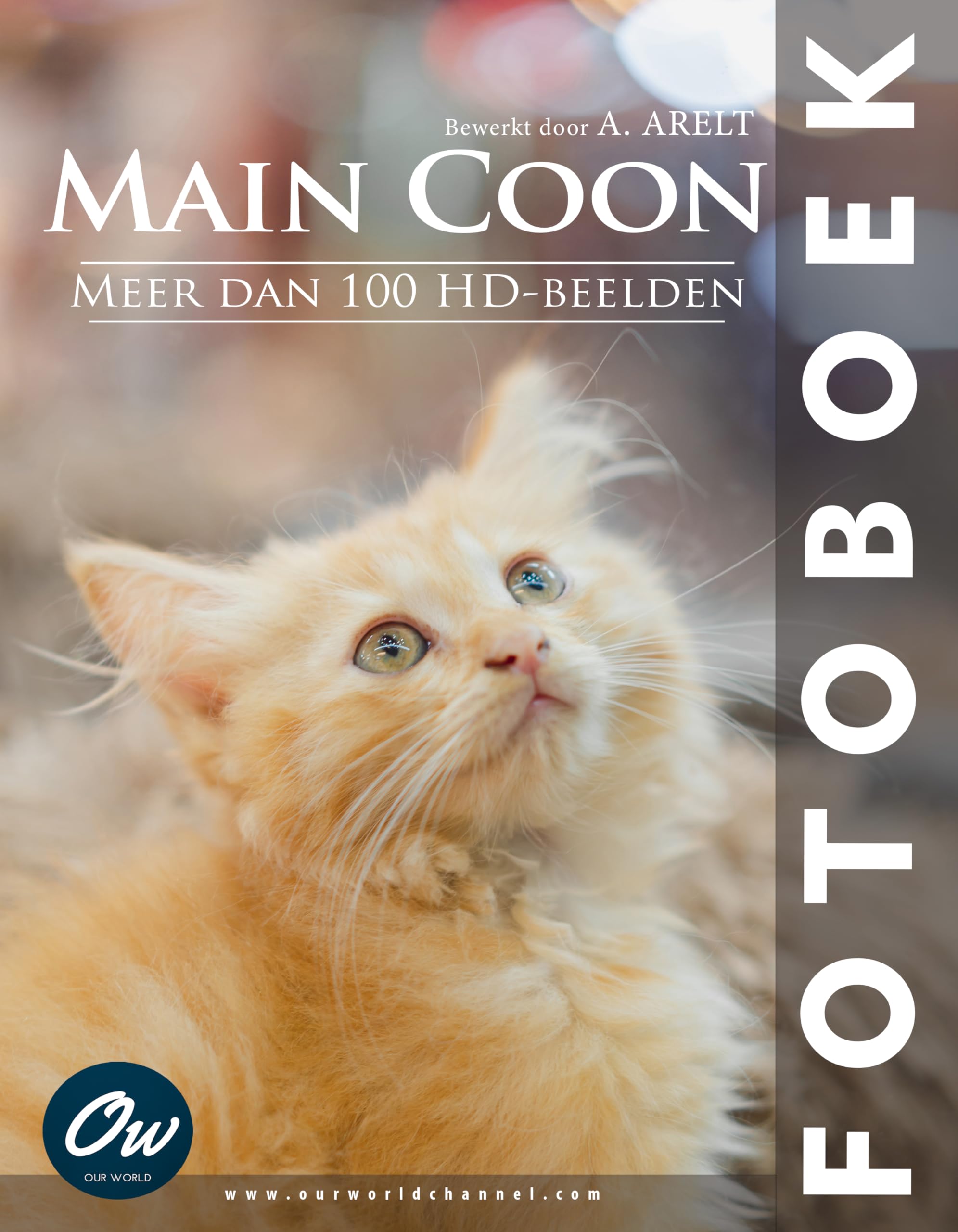 Livre photo Maine Coon édition hollandaise pour passionnés de grands chats