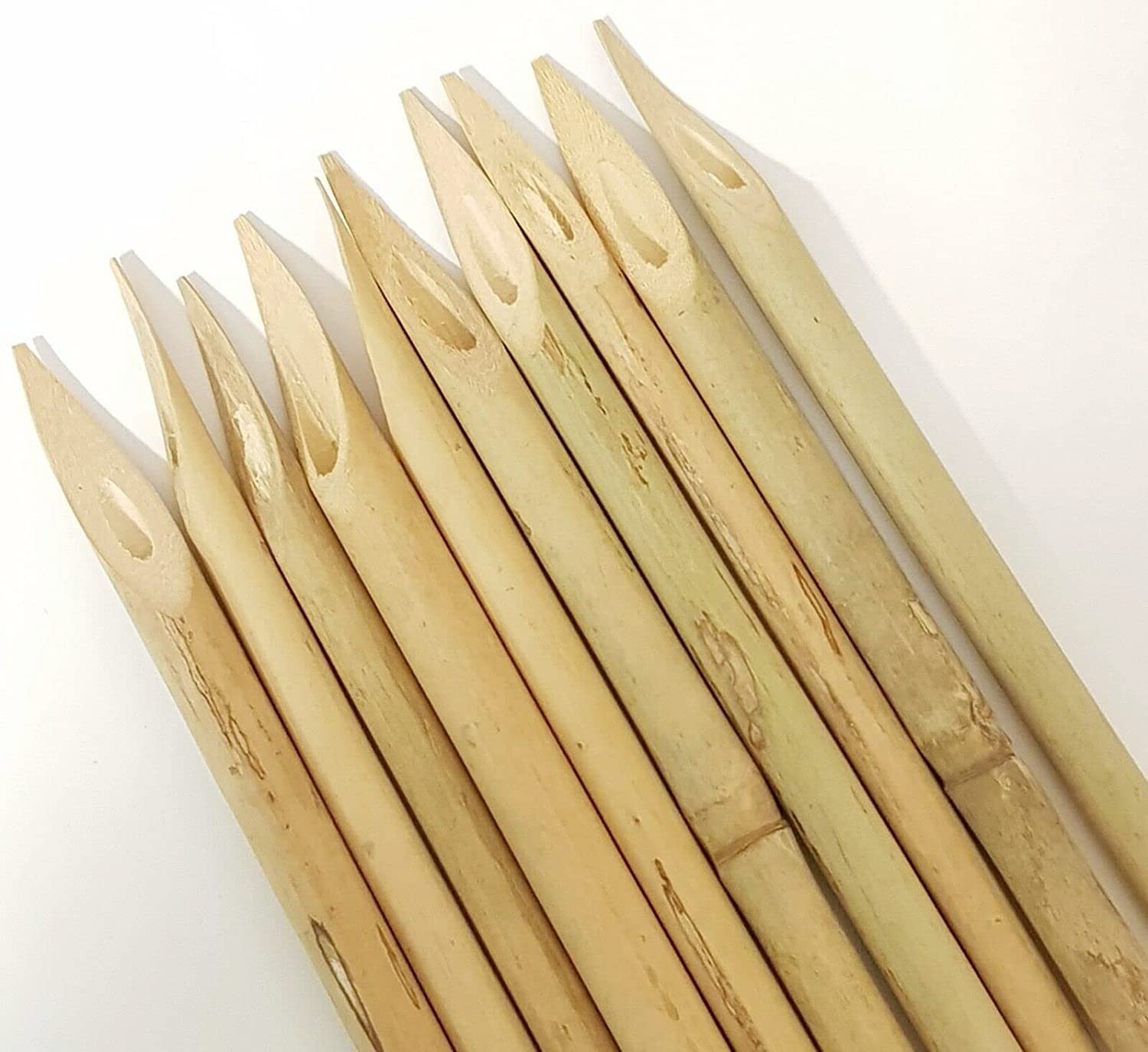 BIMA Bamboo Urdu English Arabic Hindi Calligraphy Pen, Writting Arts Pen (Size - 20cm length, Set pack of Ten Piece)