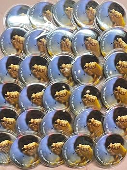 すとぷり るぅと 実写缶バッジ 70個(バラ売り可) すとぷり るぅと 実写缶バッジ 70個(バラ売り可) すと