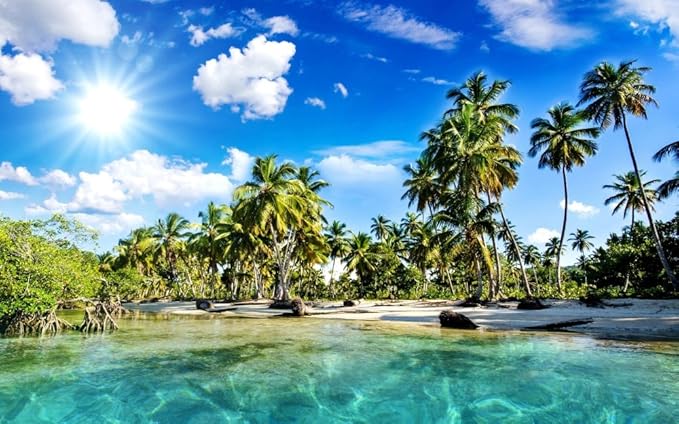 Amazon 絵画風 壁紙ポスター はがせるシール式 椰子のビーチ バリ島 ヤシの木と眩しい太陽 海 キャラクロ h 039w2 ワイド版 603mm 376mm 建築用壁紙 耐候性塗料 おもちゃ おもちゃ