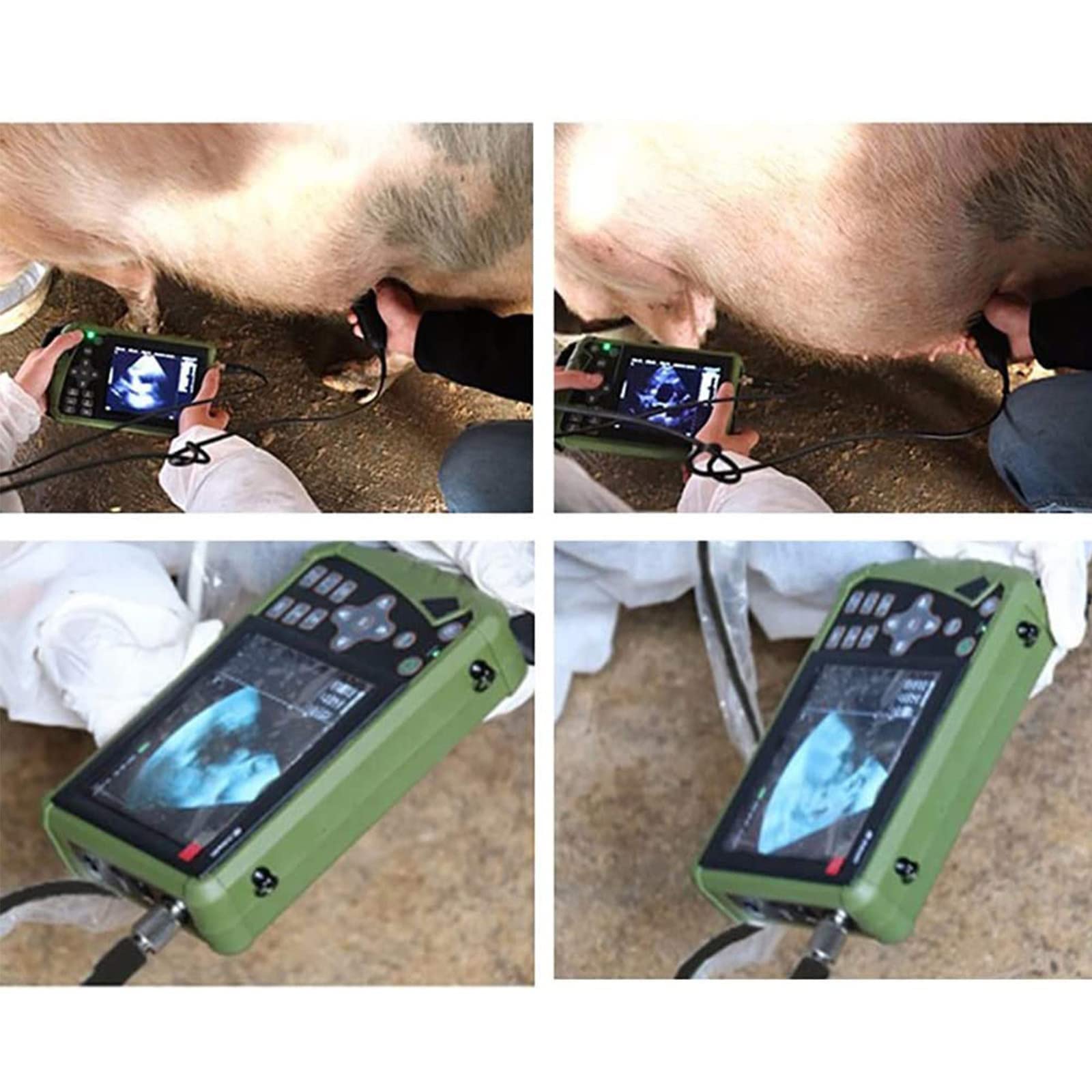 Scanner Portatile per veterinaria Macchina Digitale, Scanner a ultrasuoni B Portatile per Animali per scrofe e capre