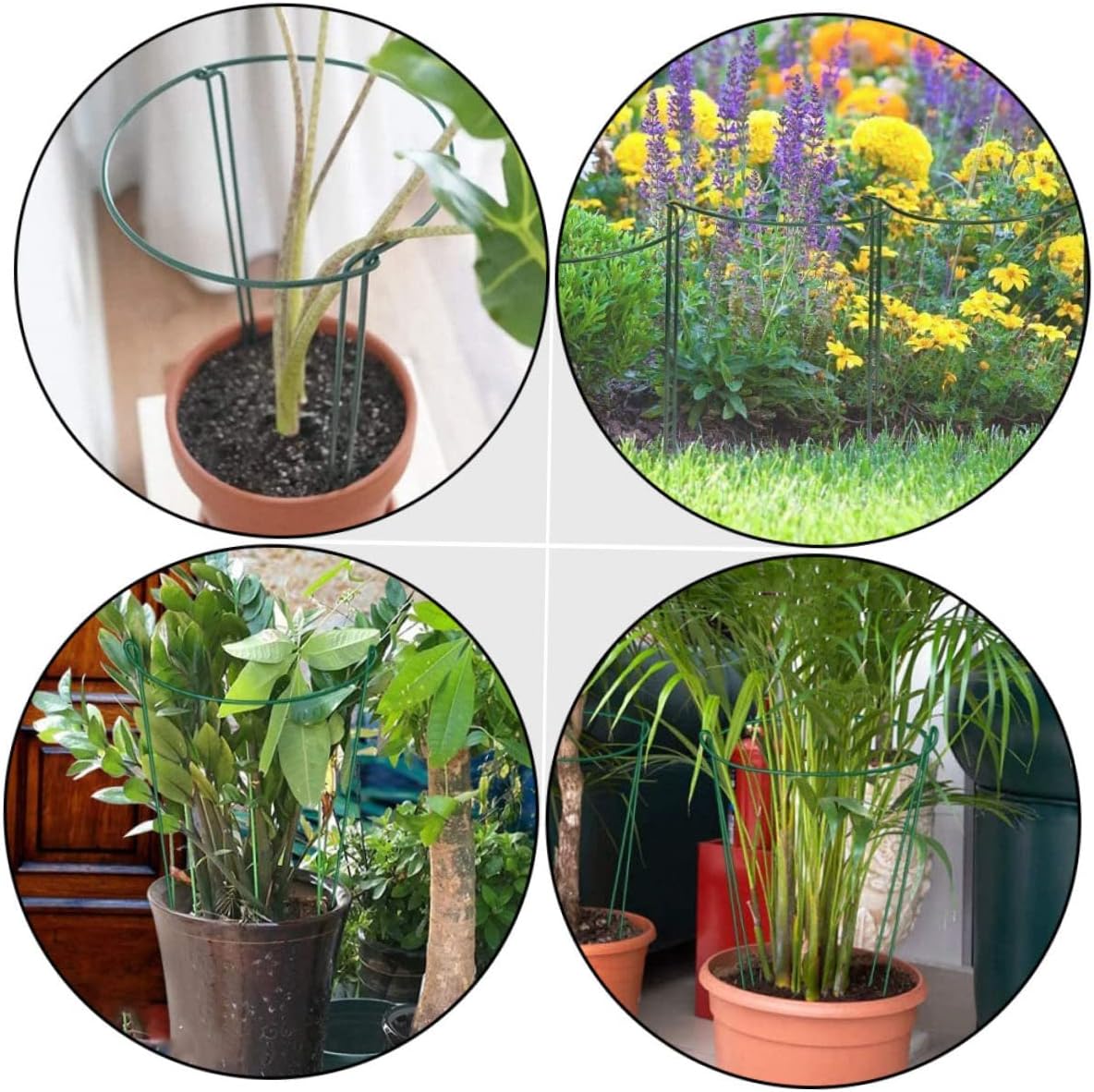 BESTonZON 6Pcs Iron Art Plant Support Stakes Semicircle Design for Potted Plants Easy Installation for Orchids Climbing Plants Garden Decoration Support