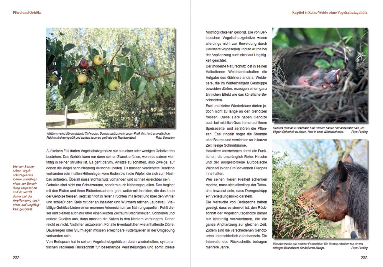 Pferd und Gehölz