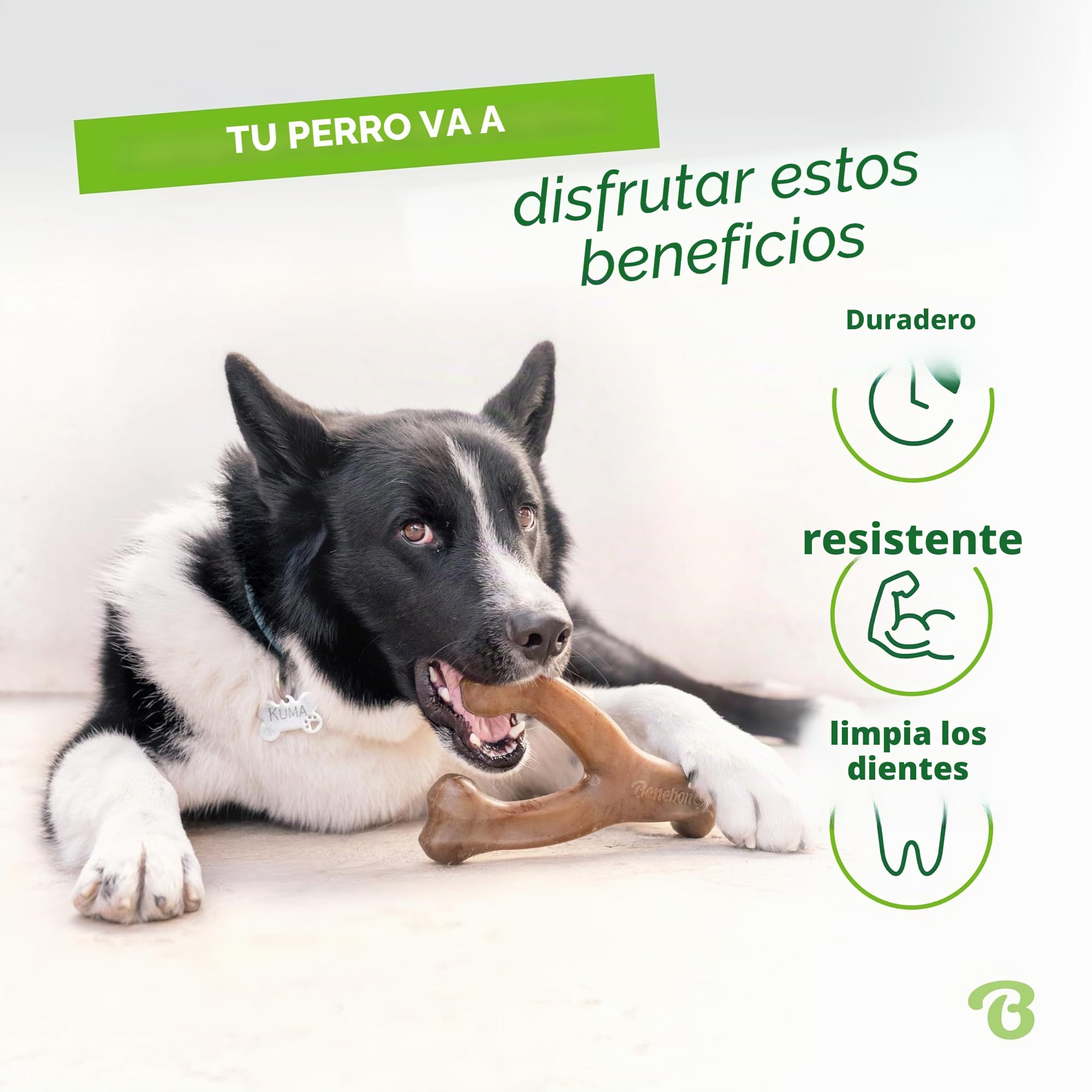 Wishbone de Benebone, un juguete para morder, con auténtico beicon mediano, resistente e indicado para perros masticadores agresivos, fabricado en EE. UU.