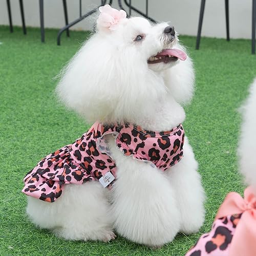 Miniatura 29 de CuteBone - Vestido de terciopelo para perro, falda de leopardo rosa, disfraz de mascota, ropa de gato con lazo, cuerda para el día de San Valentín