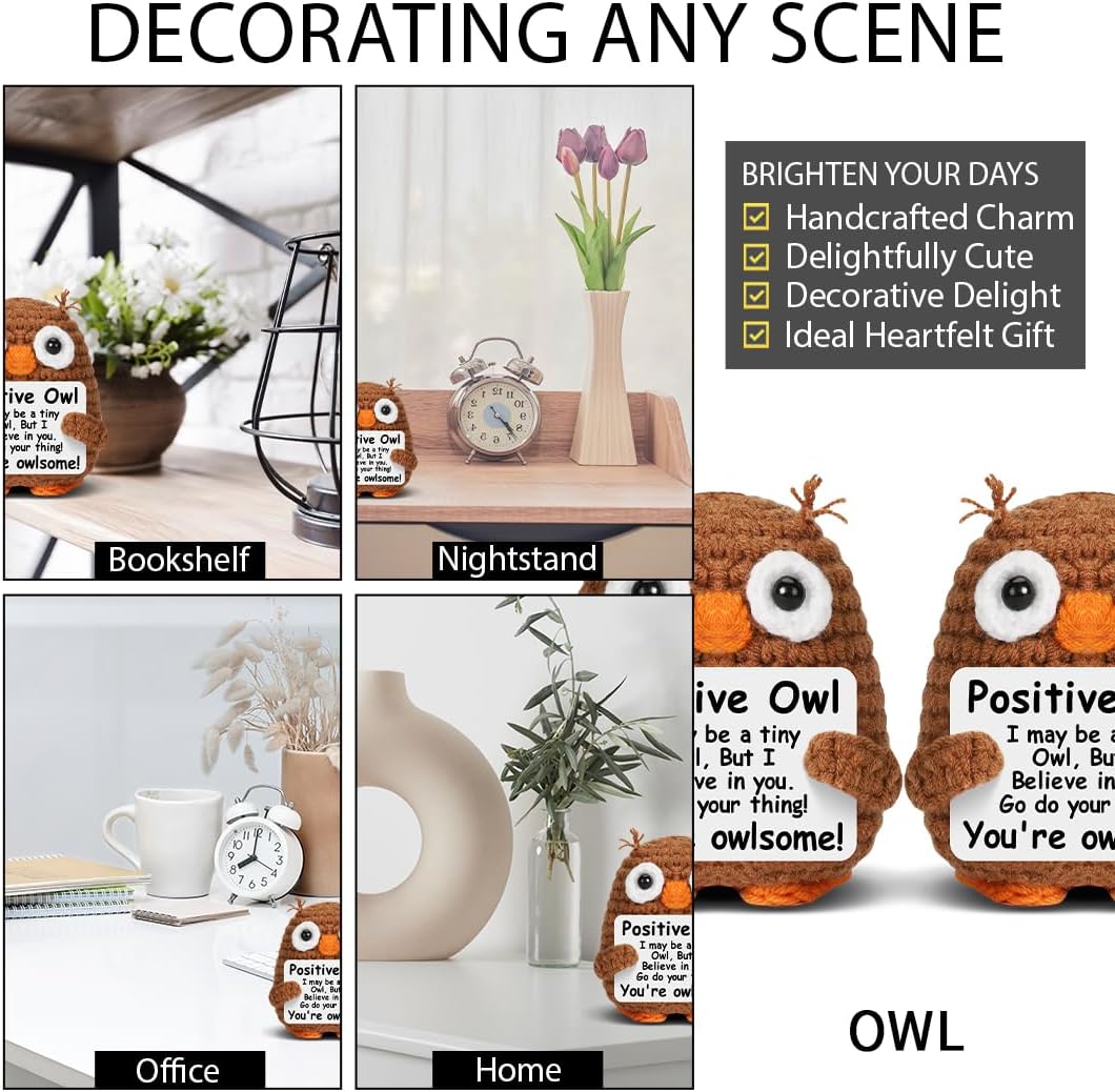 Funny Owl Crochet Decor, Owl Gifts for Women Friends Coworkers Sisters Besties Inspirational Birthday Gifts for Women Cute Owl Plush for Home Office Desk Decor - Image 6