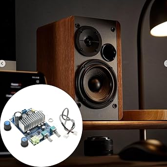 Heavy Bass Digital Amplifier Board 100 Watt High Output Low Distortion Easy Installation High Output Subwoofer Amplifier Module for Car Music System