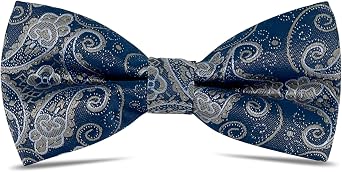 WOXVM Mens Bow Ties Pre-Tied Bow Tie Vintage Paisley Bowtie Adjustable Neck Bowtie for Men Wedding Business Party Prom