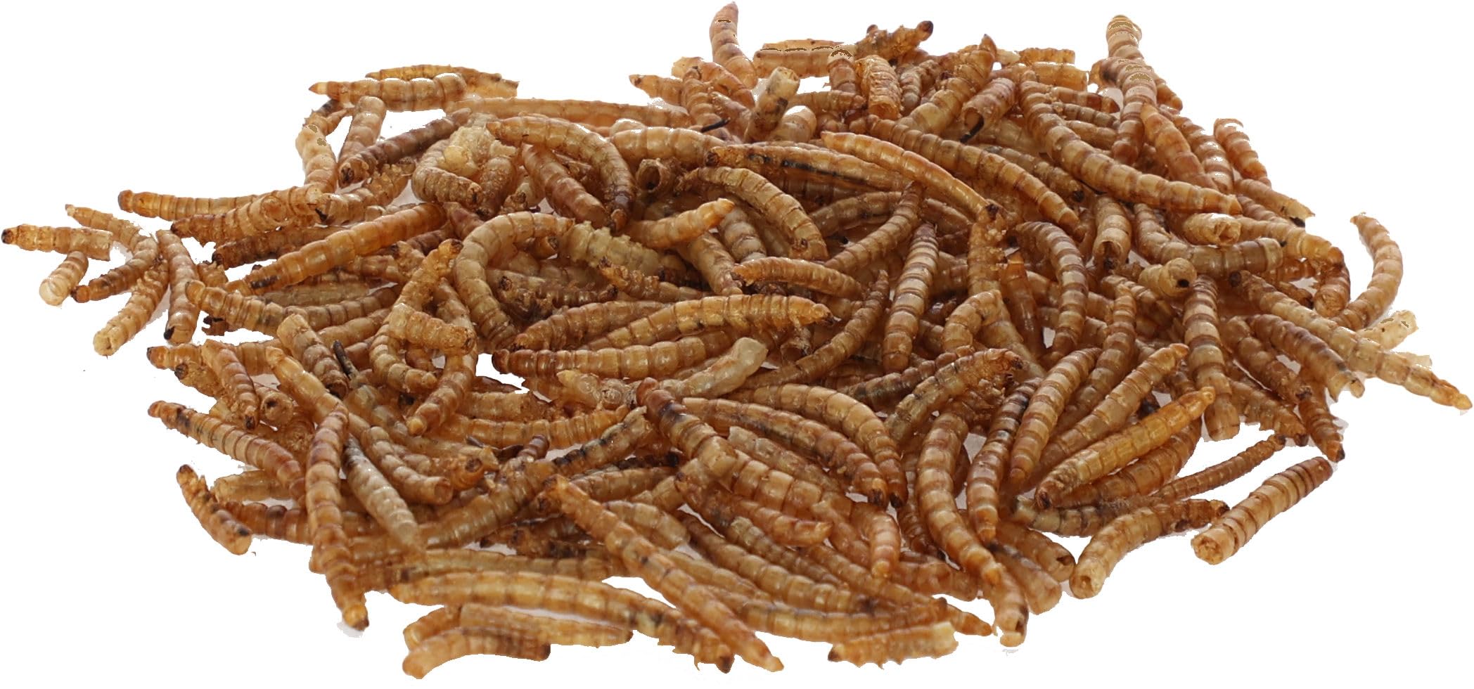 Kerbl Mączniaki suszone 900 g