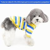 Ver la foto 2
