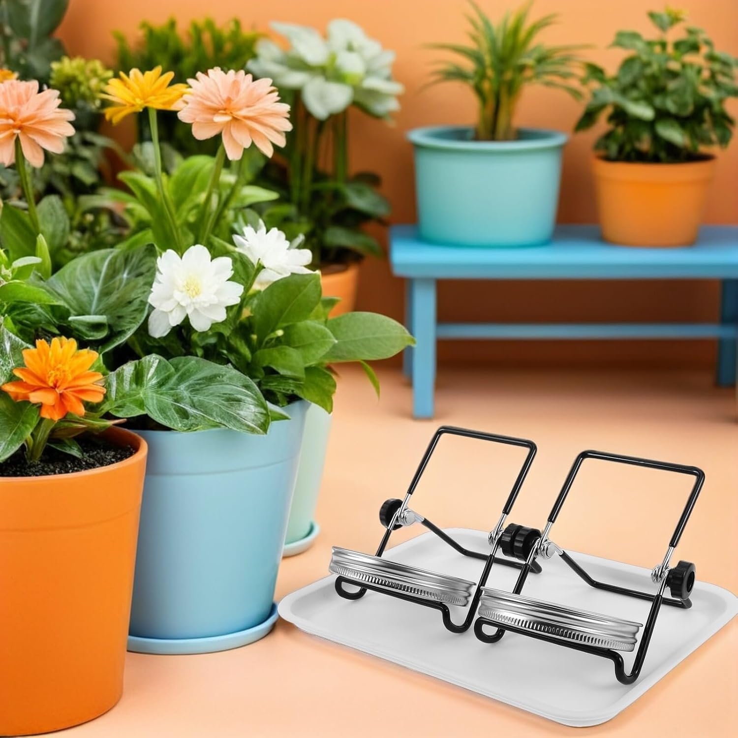 BESTonZON 2 Sets Wide Mouth Mason Jar Sprouting Lid Kit with Stainless Steel Mesh Screens, Tray and Stand for Broccoli, Bean, Sunflower Sprouts Growing at Home