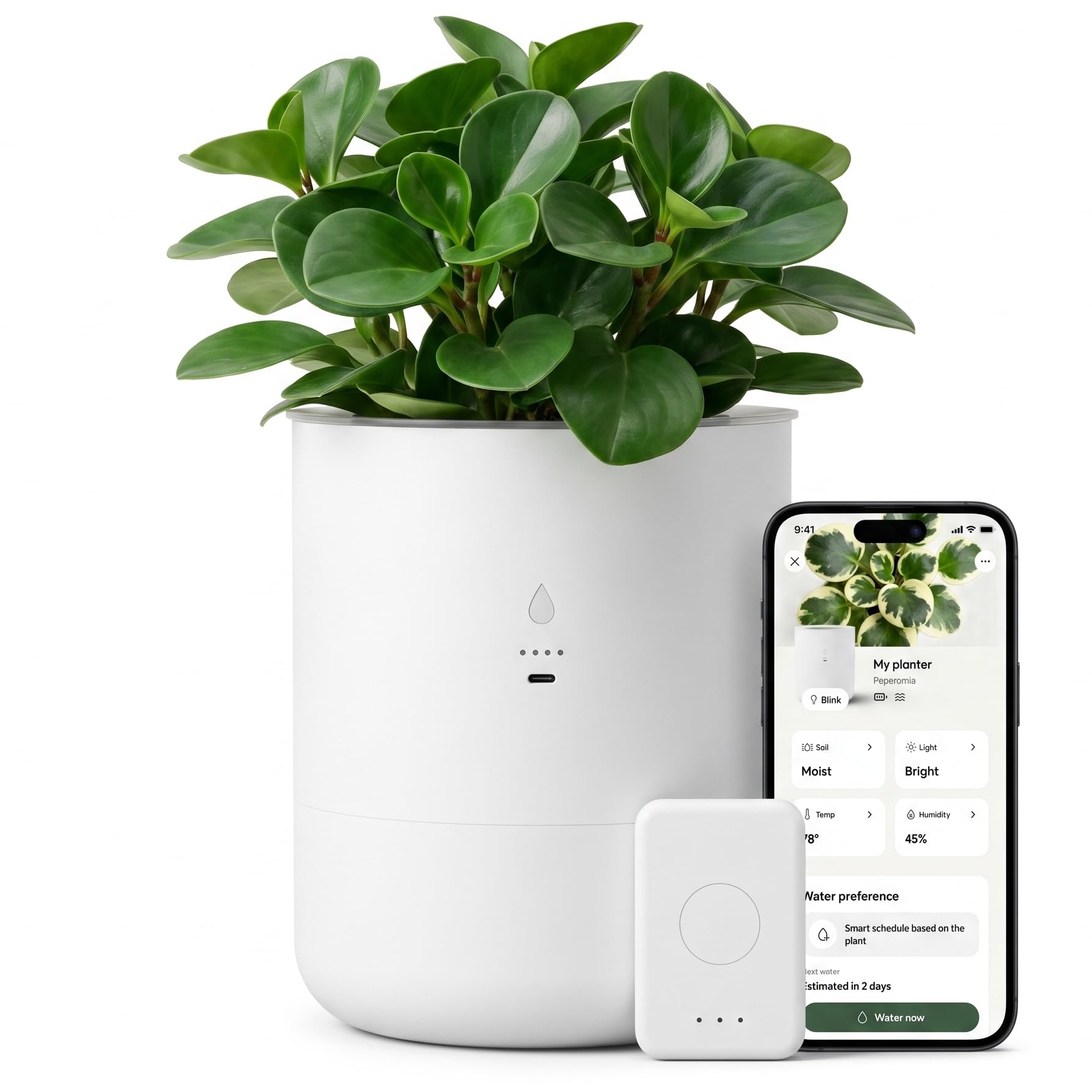 Amazon.com : LeafyPod 8 Inch Smart Self Watering Planter with WiFi