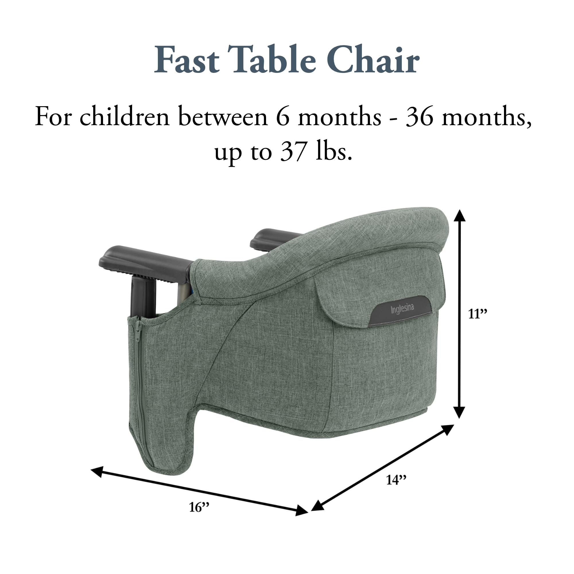 Amazon.com : Inglesina Fast Table Chair, Pine Green Melange