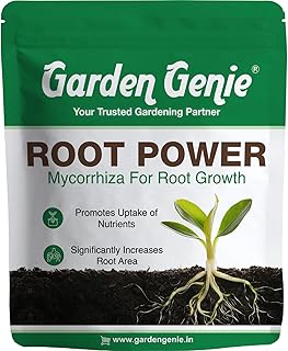 Root Power VAM Mycorrhiza Biofertilizer - Root Stimulant Growth Booster and Development Fertilizer for Plants - 800g, Granules