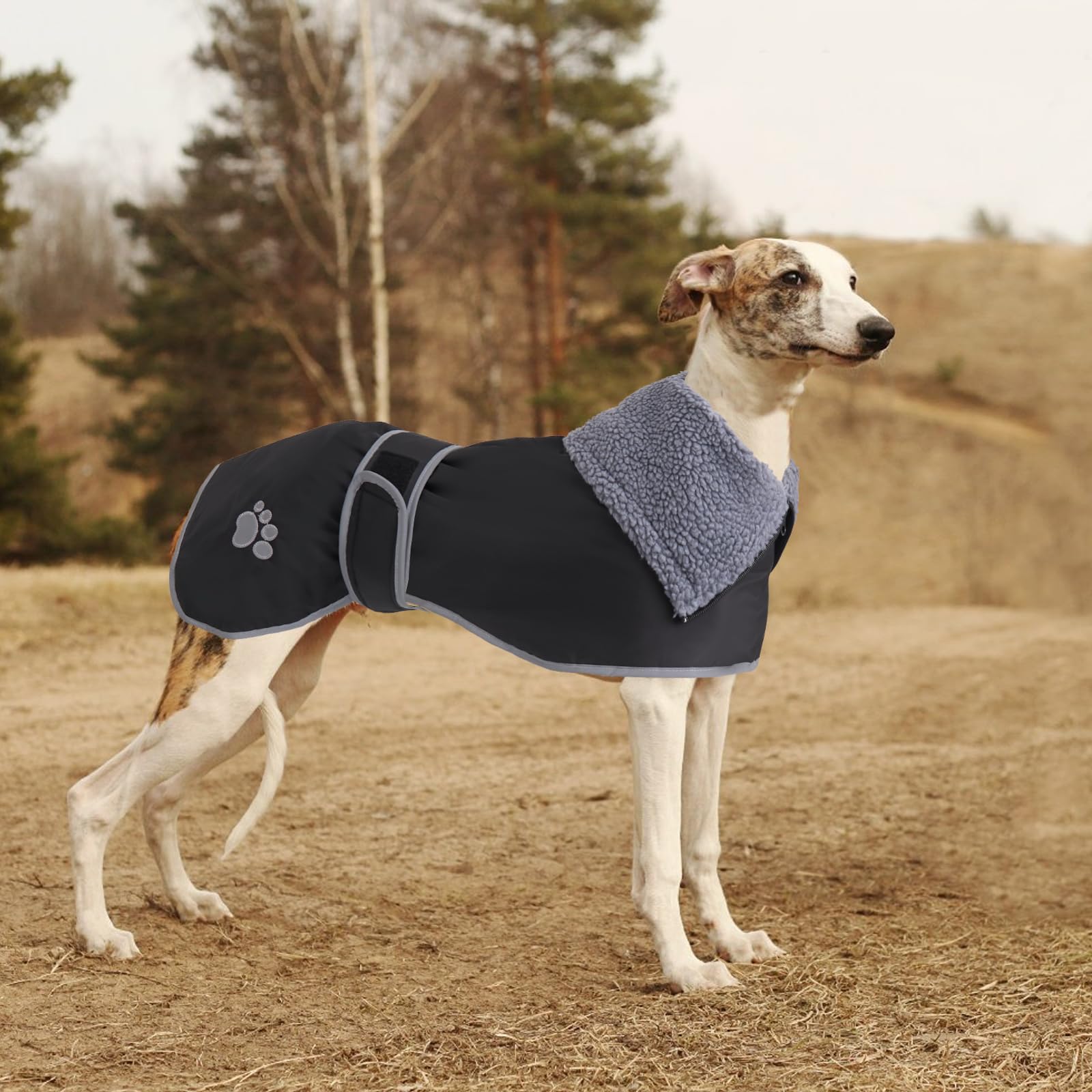 Geyecete - Waterdichte winterjas voor honden, met fleece voering en verstelbare strepen, winddichte hondenjas met harnagat, voor middelgrote en grote grijs-hound-blauw -L