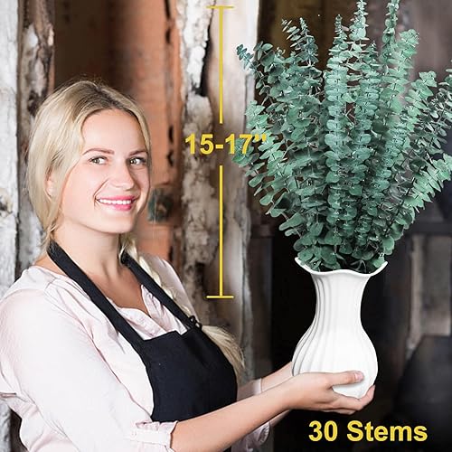 Miniatura 10 de Paquete de plantas de eucalipto preservadas secas, 100% naturales, 14 tallos naturales, 17 pulgadas de eucalipto fresco para ducha, aromaterapia,