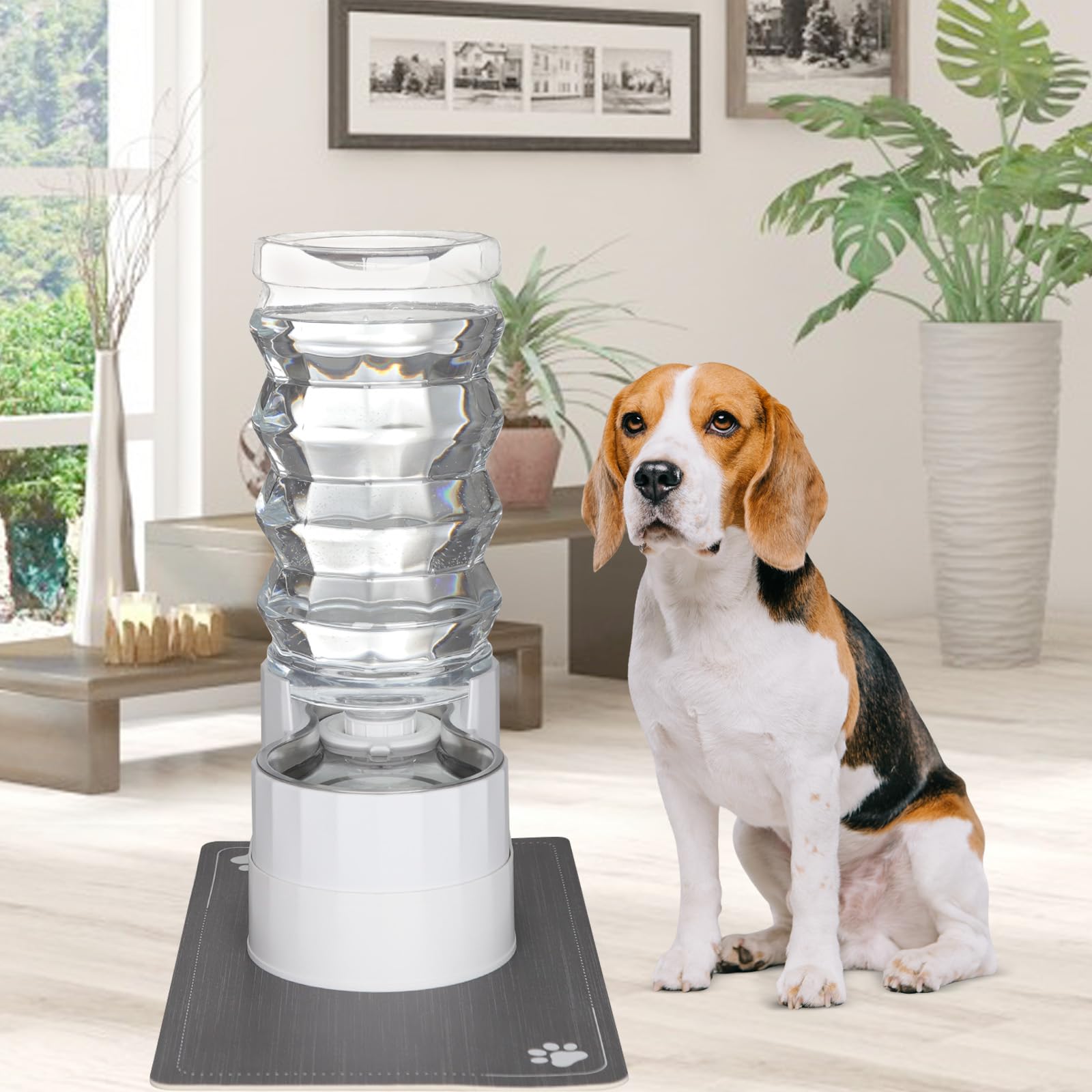 Sfozstra Distributeur d'eau Automatique à gravité pour Chiens : Station d'alimentation surélevée en Acier Inoxydable 9L Blanche – pour des articulations – Contre Les calculs urinaires